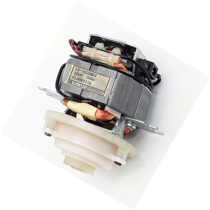 220V vahelduvvoolu universaalne kohvimasina mootor