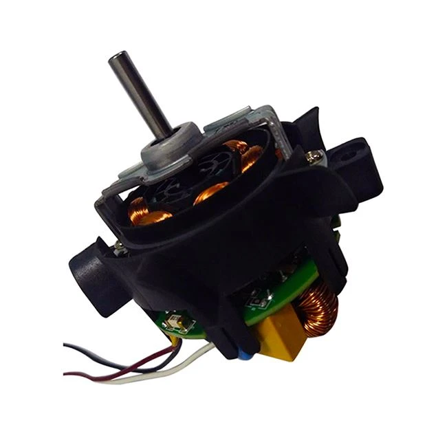 Economic Brushless DC mootor föönile